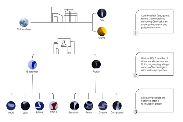 Silicone School Infographic v2.jpg